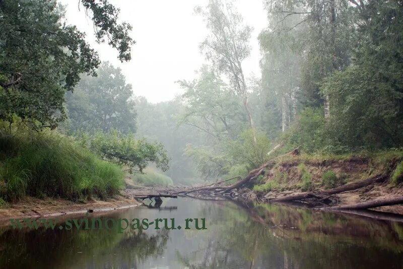 река бужа. река бужа владимирская. бужа глубина. река бужу. жд мост река чапаевка.