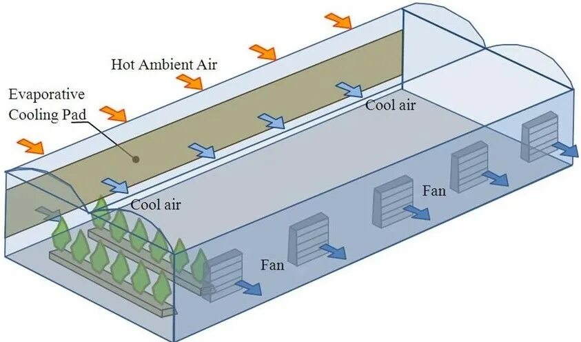 Панель испарительного охлаждения Pad Cooling. Приточно-вытяжная вентиляция в коровнике. Схема приточно-вытяжной вентиляции в коровнике. Приточно-вытяжная вентиляция в теплице. Охлаждение осушение всасывание в клетки очищение