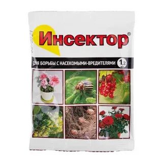 Инсектор