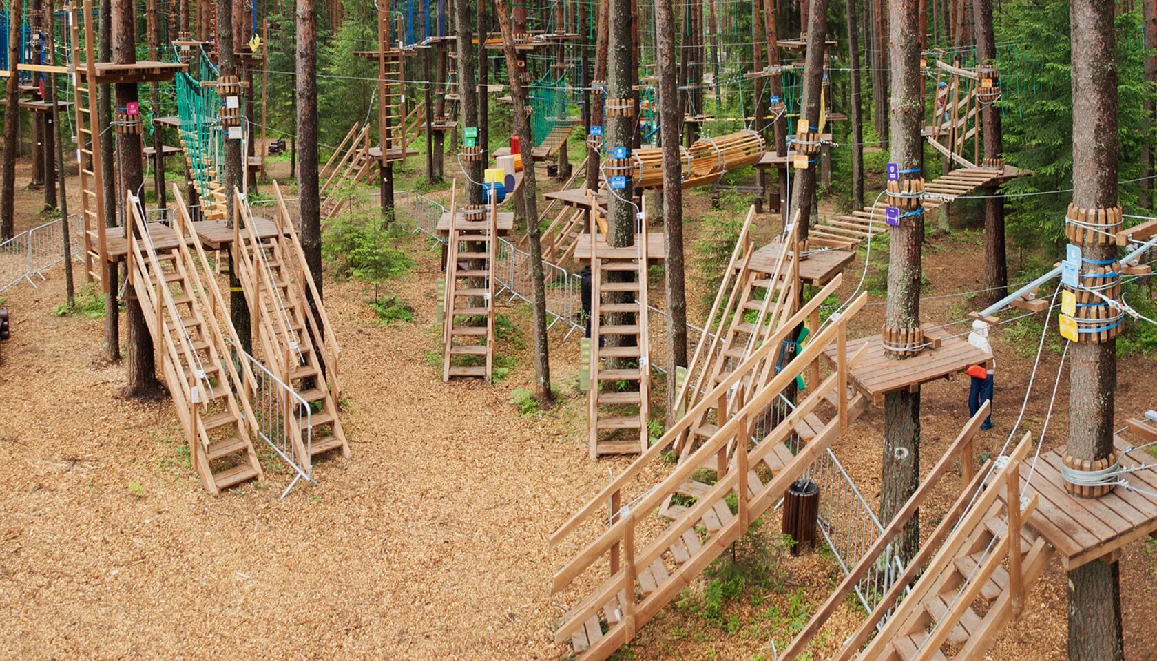 охта-парк санкт-петербург летом. чаща охта парк. чаща охта парк. курорт"охта парк" ресторан. чаща охта парк.