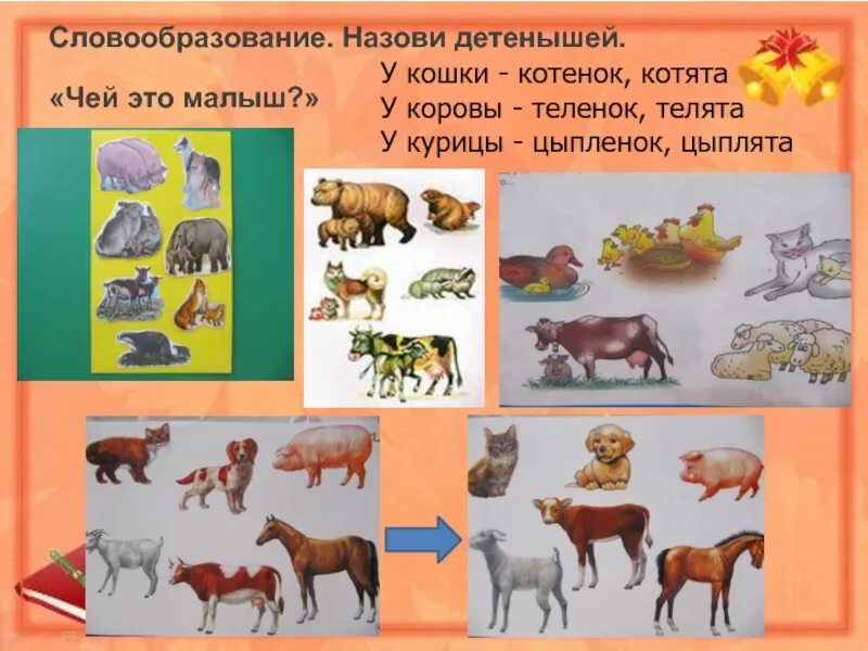 Как зовут детеныша кошки уровень