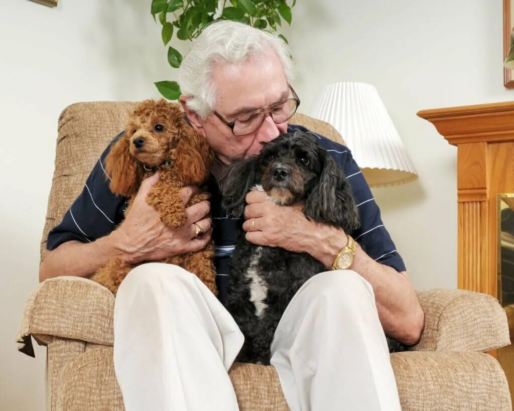 Собаки для пожилых людей