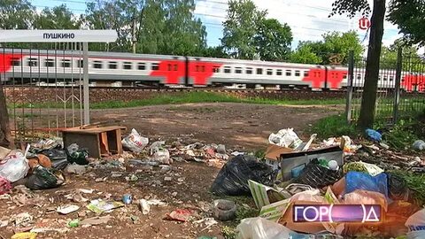 Кто победил в пушкинском районе