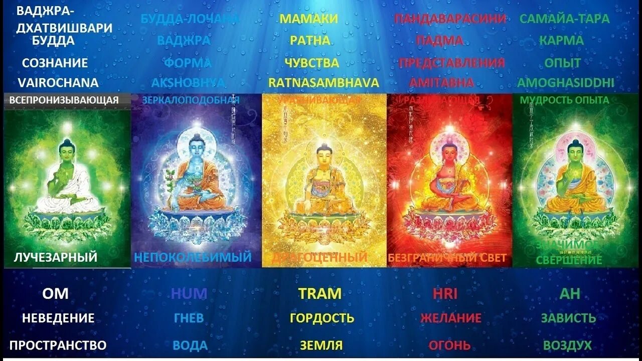 Пять дхьяни будда вайрочана. Пять буддизм. Дхьяни будды. Дхьяни будды. Дхьяни будды.