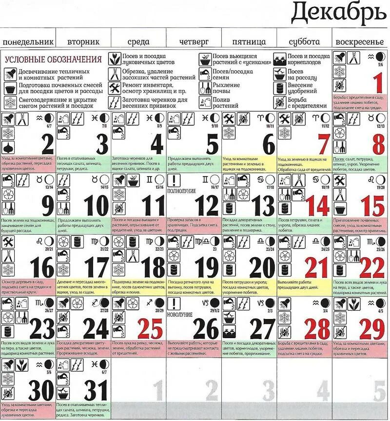 Посевной календарь на ноябрь. Лунный календарь на декабрь. Лунный календарь на декабрь 2019 года. Лунный посевной календарь на декабрь. Лунный календарь на декабрь 2021.