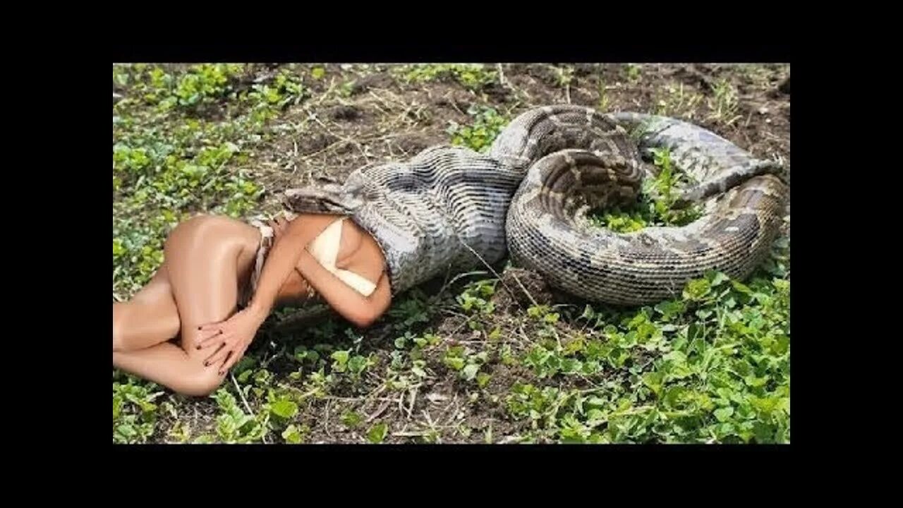 дженнифер лопес в фильме анаконда. твой дерзкий взгляд анаконды. анаконда лопес. ловушка проклятого сокровища фильм 2021. анаконда фильм 1997 маттео.