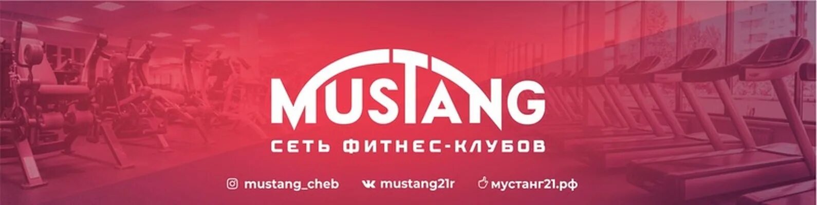 Мустанг абонемент. Мустанг Чебоксары. Mustang Чебоксары фитнес клуб. Спортзал Мустанг Чебоксары. Тренажерный зал Мустанг.