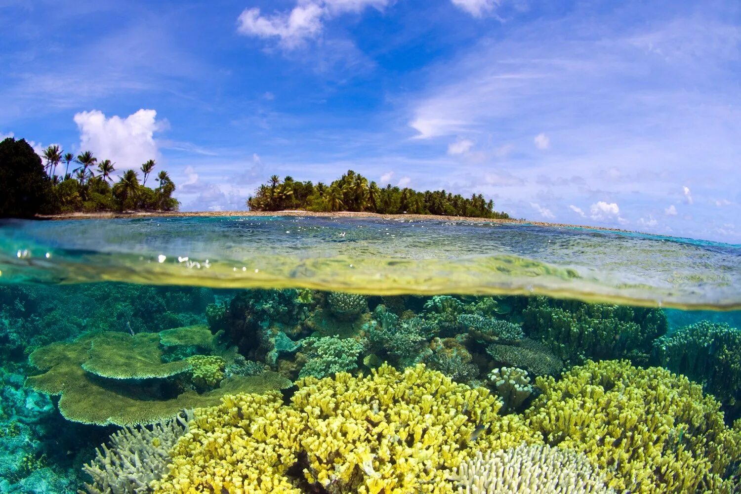 Суша тихого океана. Атолл бикини Маршалловы острова. Атолл бикини (Bikini Atoll), Маршалловы острова. Атолл коралловый остров. Атолле бикини в тихом океане.
