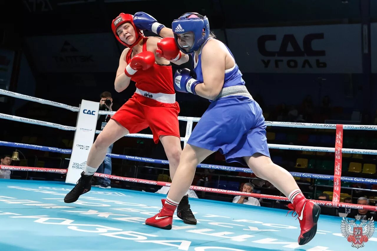 Габил мамедов (rus). Rus boxing. Водопьянов бокс. Бокс. Гамзат газалиев боксер.