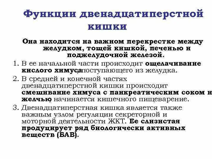 Функции 12 перстной кишки физиология. Пищеварение в 12 перстной кишки физиология. Желудок и двенадцатиперстная кишка функции. Функции желудка и двенадцатиперстной кишки.