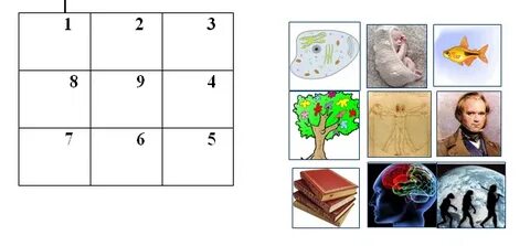 Порно жұлдыз Никки Диал