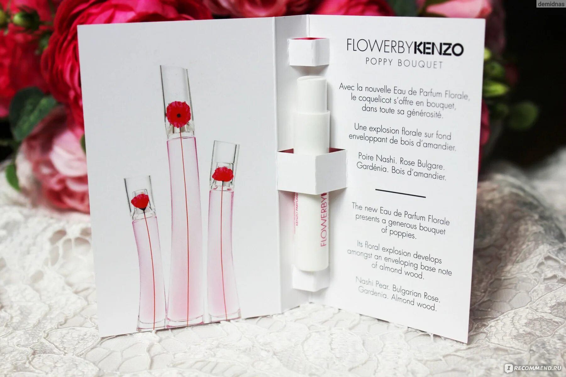 Кензо поппи букет. Flower by kenzo poppy bouquet. Кензо флауэр поппи букет. Flower by kenzo poppy bouquet. Кензо поппи букет.