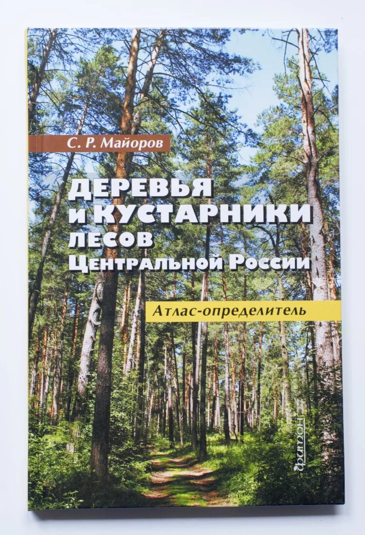 Определители деревьев и кустарников. Майоров сергей робертович атлас определитель деревьев. майоров деревья и кустарники лесов центральной россии. деревья и кустарники лесов центральной россии. книга деревья и кустарники.