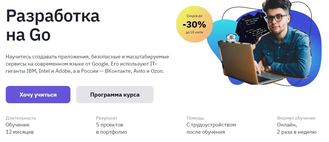 Go Разработчик. Курсы go. Резюме golang Разработчик. Go Разработчик кто это. Гоу создавайте