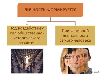 Личность формируется в течение жизни