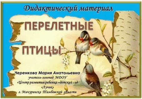 План недели птицы