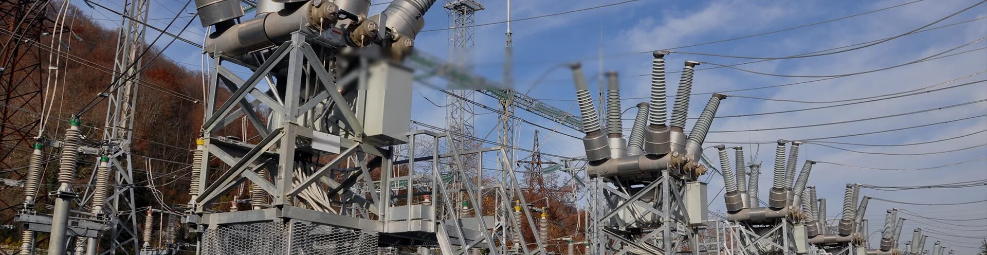 Каменские электросети. Комбинированные электрические сети. Энергосети пмр. Каменские электросети. Главный инженер каменских электросетей.