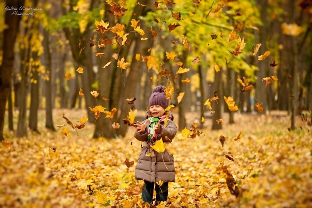 Наблюдать осенний. Осенний листопад. Осенняя прогулка. Листопад для детей. Листопад осенью.