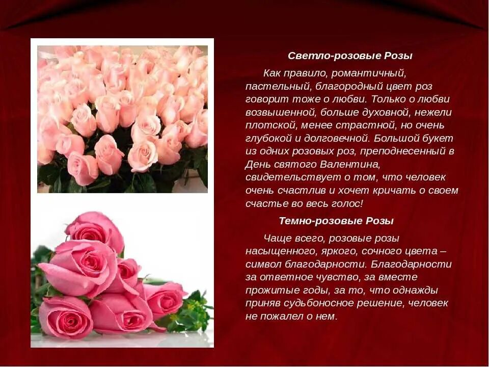 Значение 1 розы