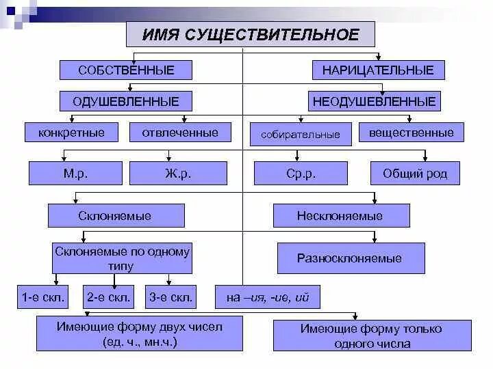 Имя существительное в русском языке вопросы