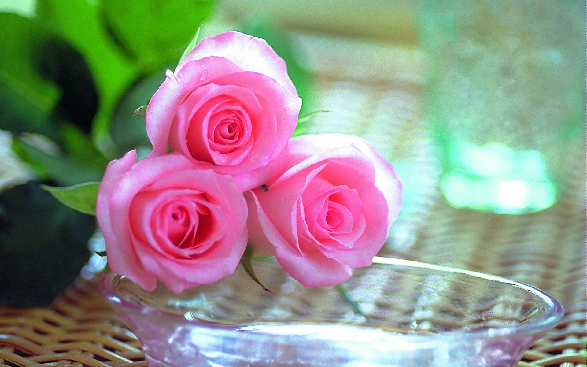 Розы 3 цветка. Розовые розы. Классные цветы. Чудесные нежные розы.