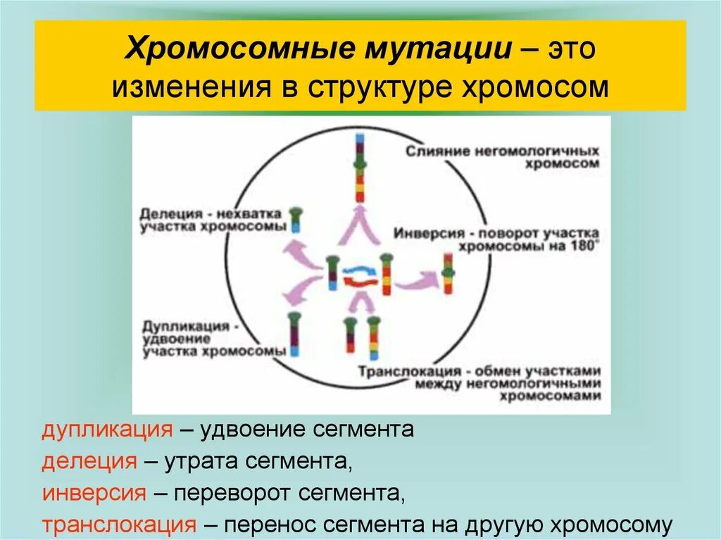 С изменением структуры хромосом связаны. Хромосомные мутацииэт. Структурные мутации хромосом. Хромосомные мутации это изменение. Структурные хромосомные мутации.