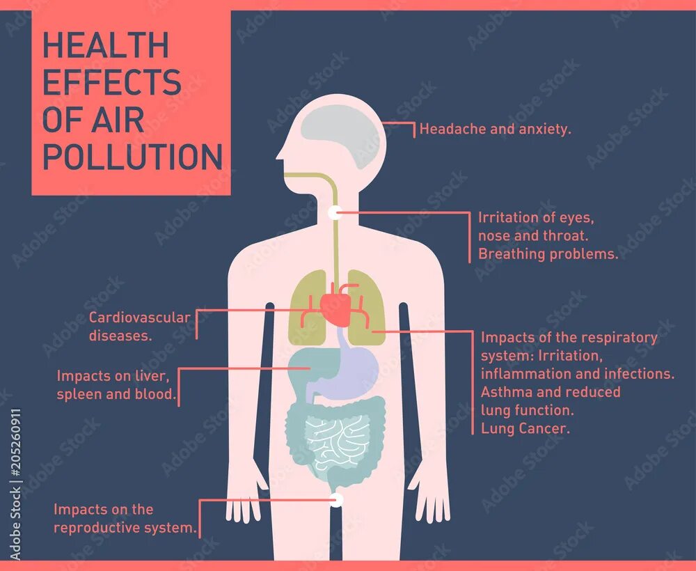 Effects of air pollution on health. Healthy environment healthy human. Affect health. Health risks. Влияние загрязнения воздуха на человека.