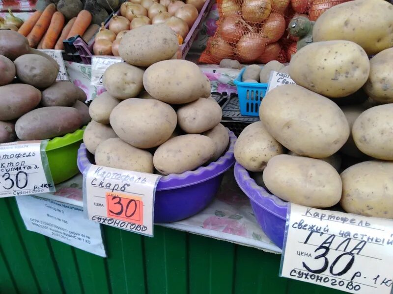 Сколько сейчас стоит картошка