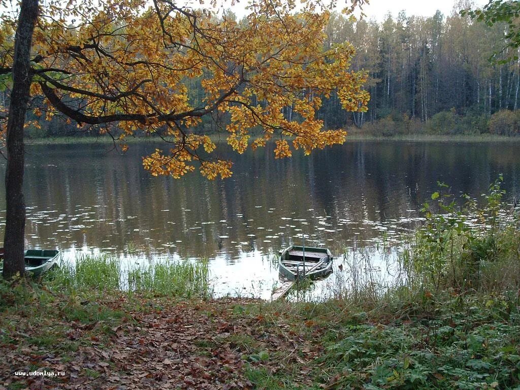 Удомельский городской округ место вдохновения. Озеро Удомля Тверская область. Удомля лес. Ясная Поляна Тверская область Удомля. Лубенькино Удомля.