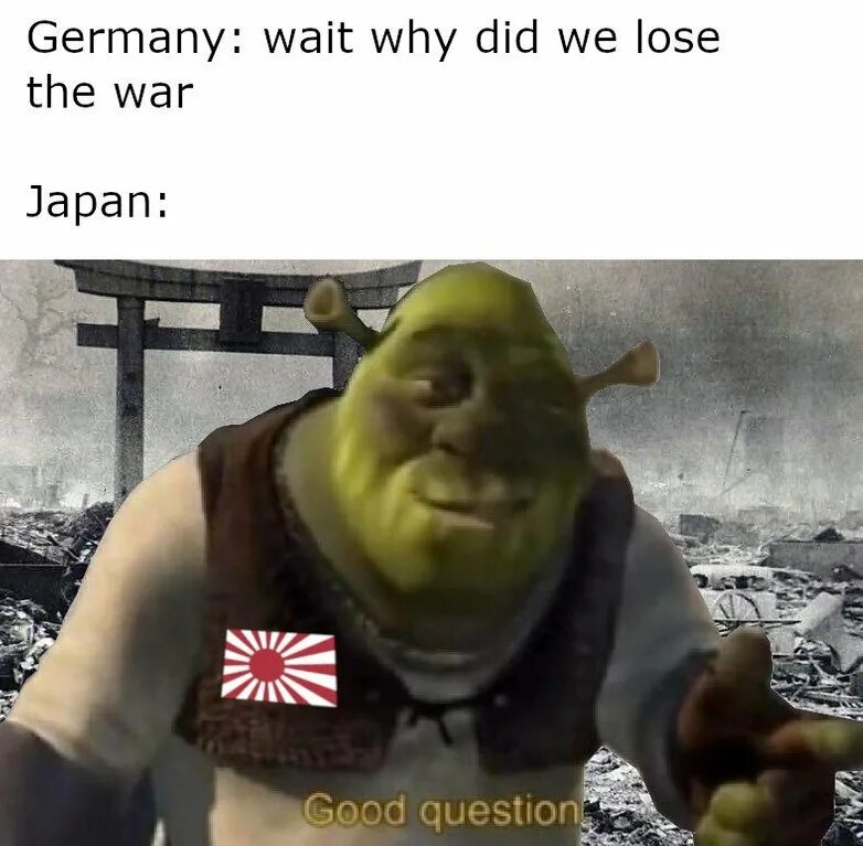 Become better. Questions мем. Шрек хороший вопрос мем оригинал. Any questions картинка. It is a good question.