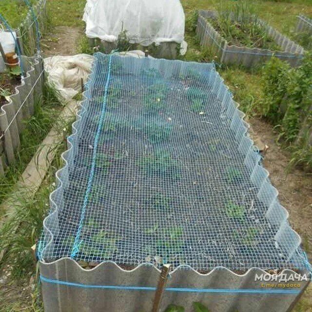 Ограждение для огорода. Сетка для ягод. Антиградовая сетка. Сетка для грядок. Сетка от птиц 2*4м mj531.