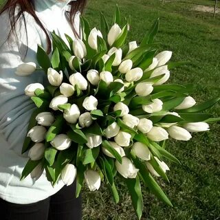 Значение белых тюльпанов