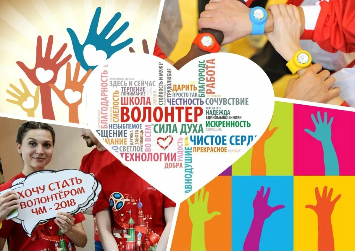 Добровольцы как оформить