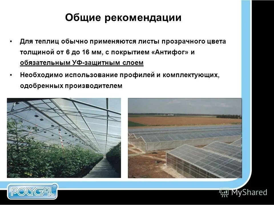 Полигаль восток сайт. Полигаль стандарт поликарбонат. Теплица Полигаль. ПЭТ лист прозрачный для теплицы какая толщина. Полигаль для чего нужен.