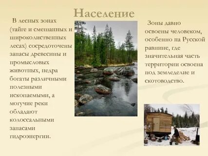 Как человек использует тайгу