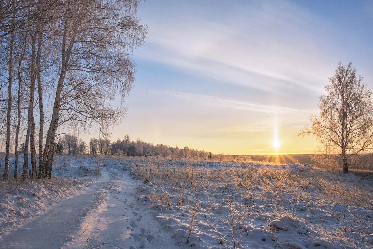 Морозное утро. Снежное утро. Морозное Снежное утро ноября природа. Мартовское утро. Доброе снежное мартовское утро