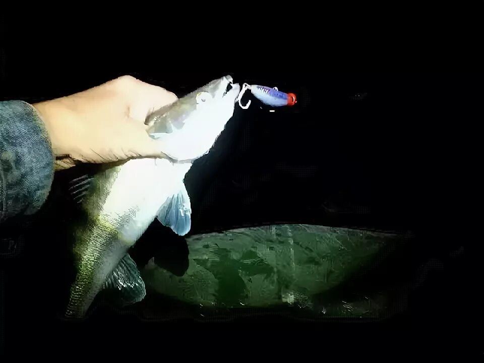 Има комомо