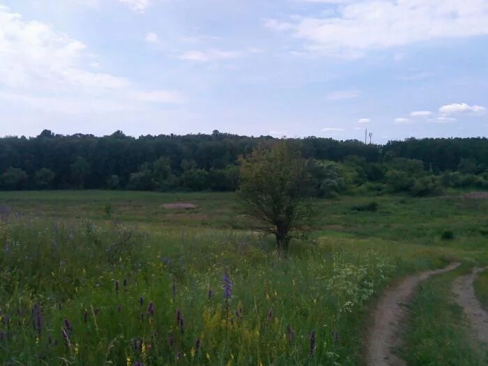 Ответы : Где, в каком городе лев разлегся