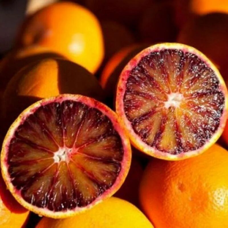 Нектакотум шарафуга. Странные фрукты. Цитрус лайм рангпур. Скрещенные фрукты. Гибридные фрукты.