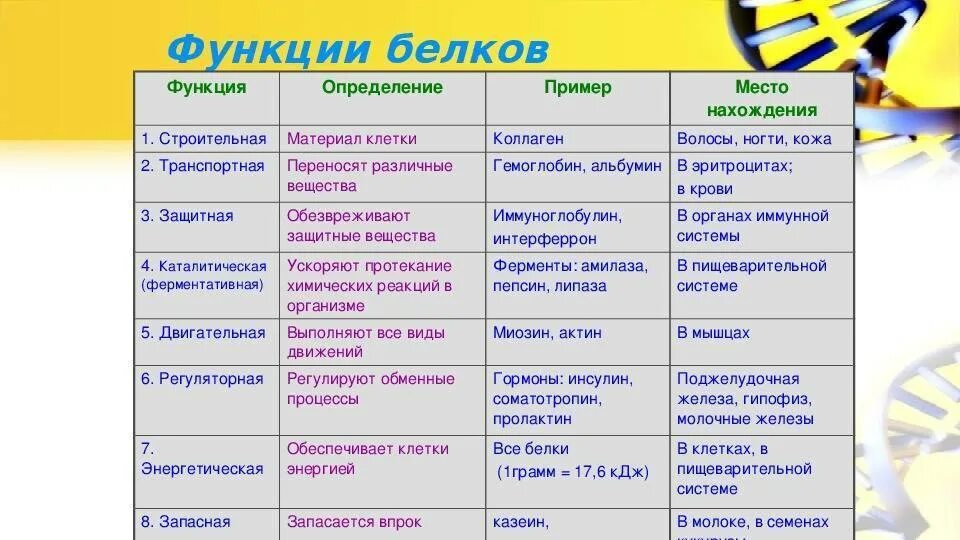 Список функций белков. Биологические функции белков таблица. Функции белков биология 9 класс. Назовите биологические функции белков. Функции белков 10 класс биология.