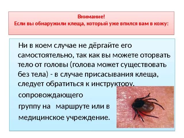 Что делать если обнаружено. Что делать если обнаружено