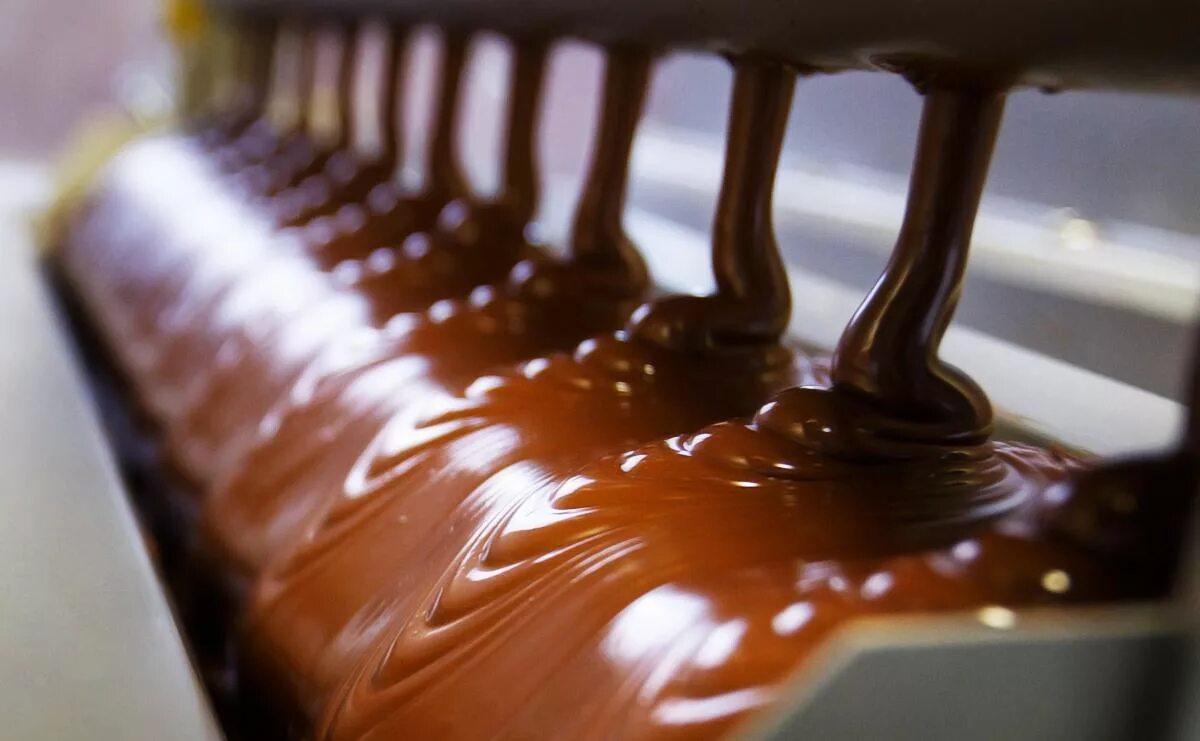 Технология шоколада. Фабрика шоколада. Шоколадная фабрика цех. Производство шоколада. Формовка шоколада.