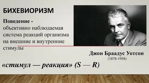Учение о поведении