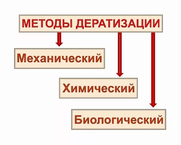 Контроль дератизации. Биологический метод дератизации. биология способы дератизация. дератизация виды и методы. химические и биологические методы дезинсекции.