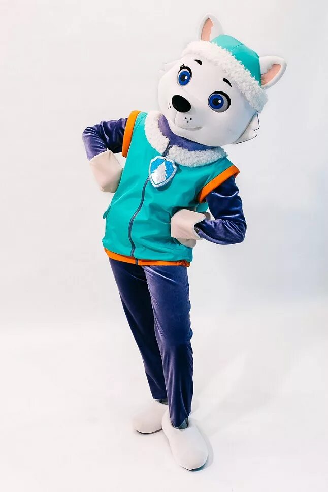 Щенячий патруль ростовые куклы маршал. Гонщик щенячий патруль аниматор ростовая кукла. Щенячий патруль ростовые куклы шоу. Московский театр ростовых кукол щенячий патруль. Московское шоу ростовых кукол щенячий патруль.