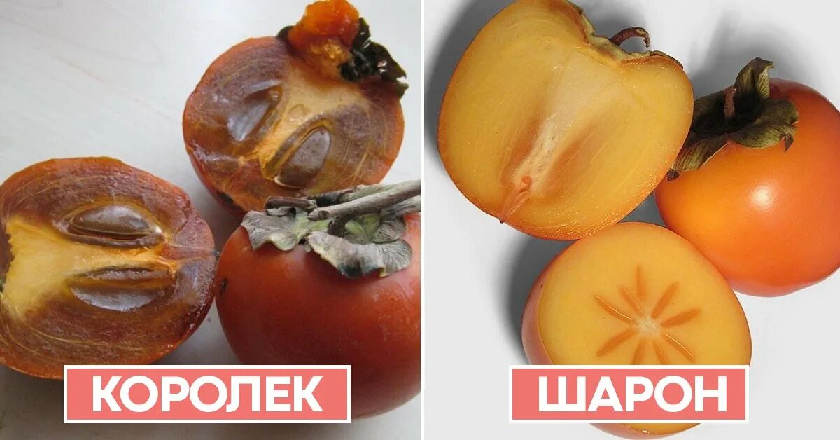 Как отличить королек. Хурма сорт королек. сорт хурмы королек шоколадный. королек хурма разница. сорт хурмы шарон шоколадный.