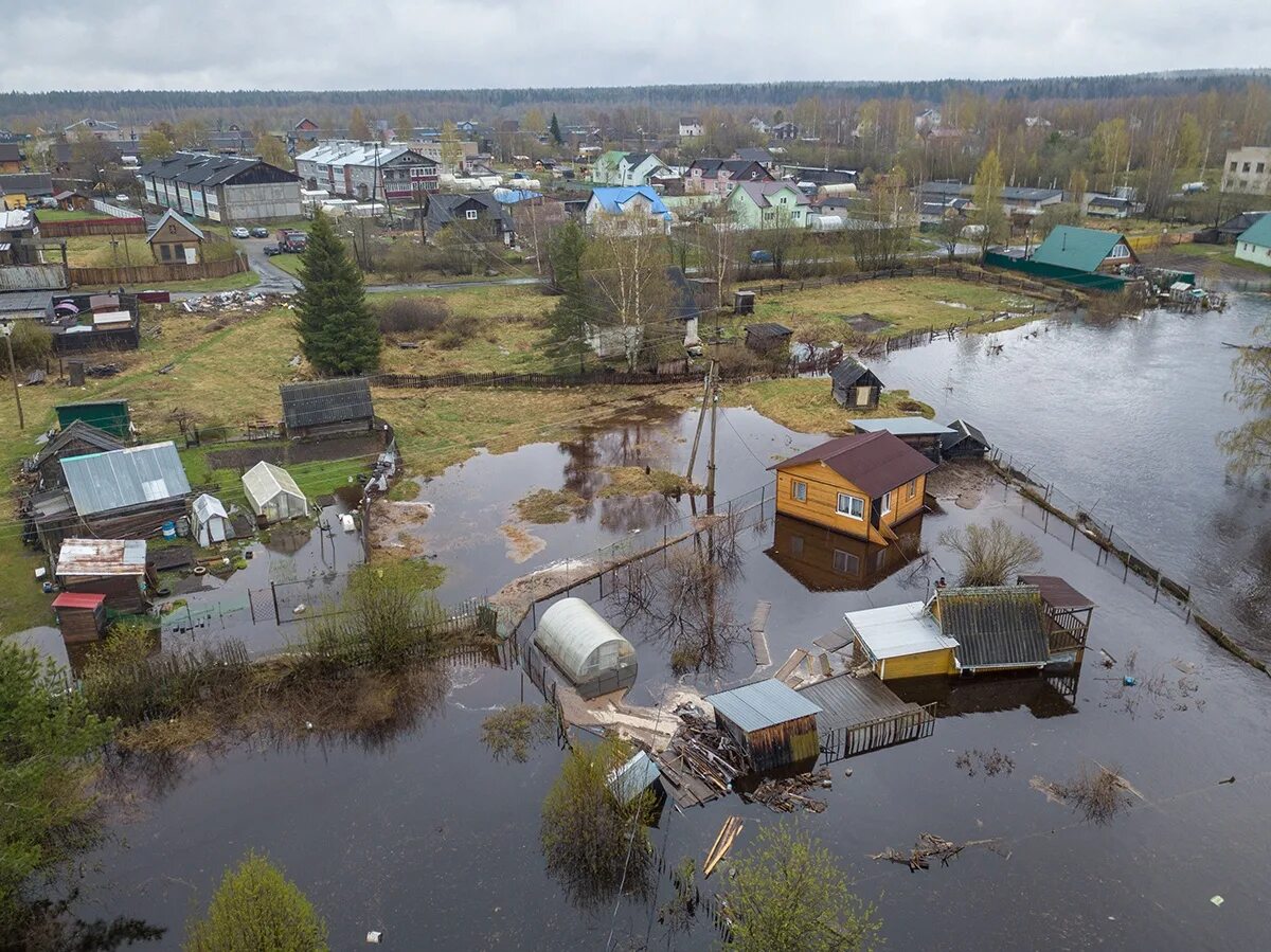 Где сейчас наводнения в россии. Река Вилга Карелия. Деревня Вилга Карелия. Новая Вилга Карелия. Река Томица Карелия.