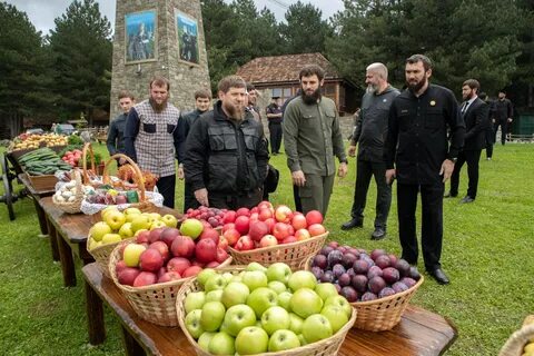 Новости чеченцы