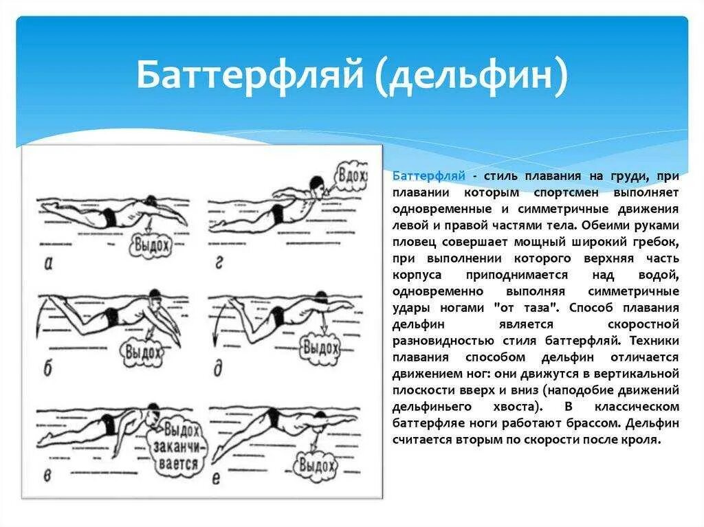 7 видов плавания. Техники брасс кроль баттерфляй. баттерфляй вид плавание техника. стиль плавания брасс и баттерфляй. кроль брасс баттерфляй техника.