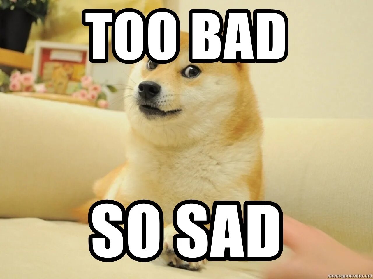 One is not so bad. Too bad so sad. sad doge. so sad мем. мем so bad.